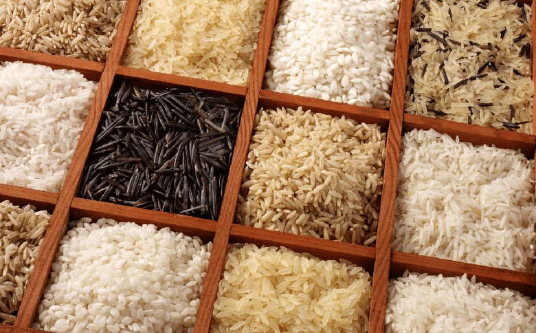 rice exporters, pakistan rice exporters
