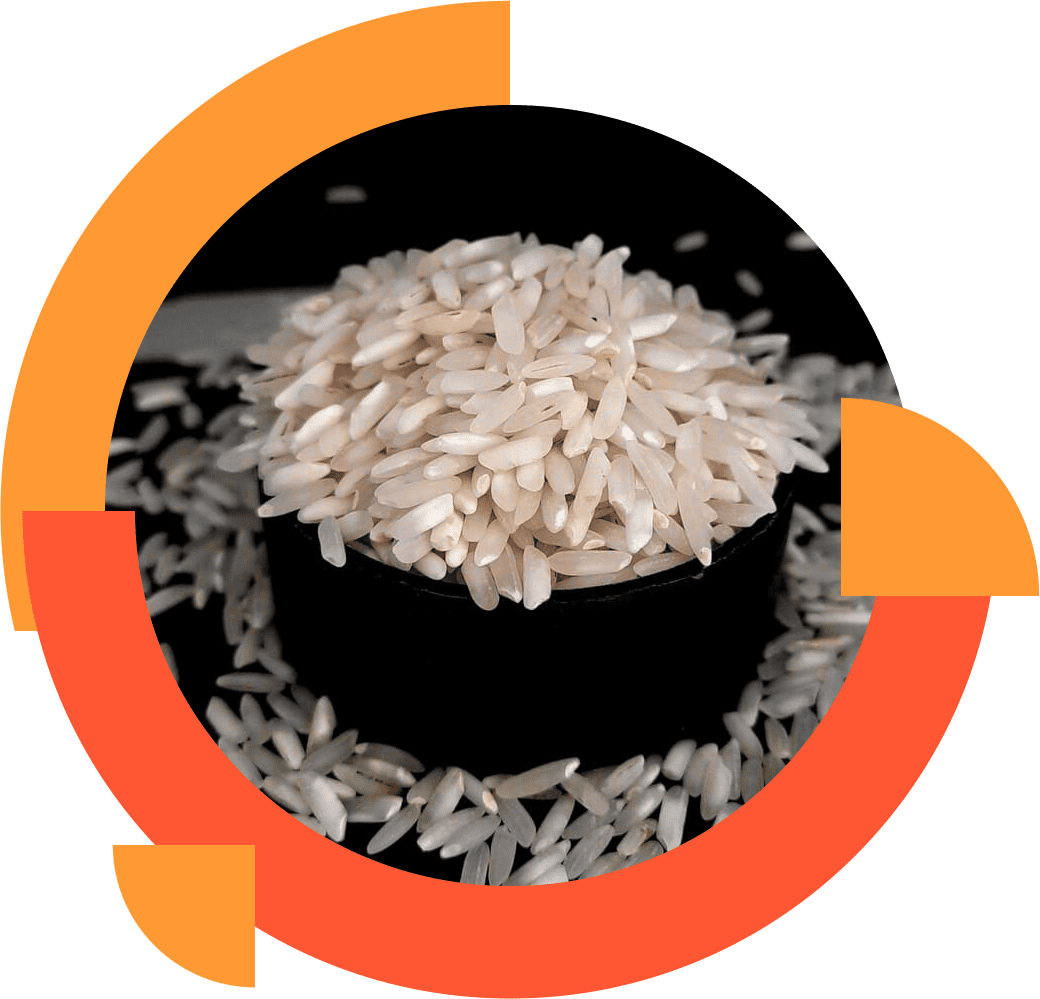 rice export solutions
