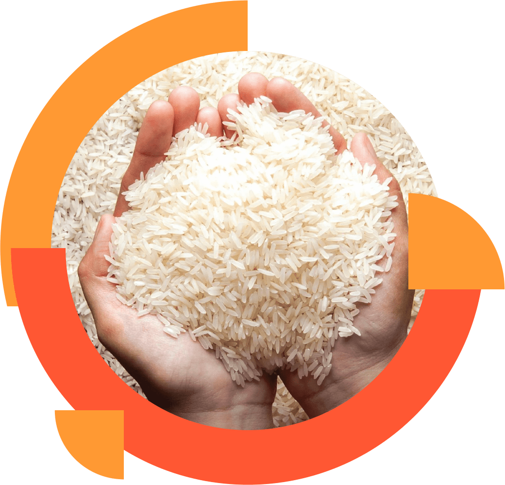 pakistan rice exporters