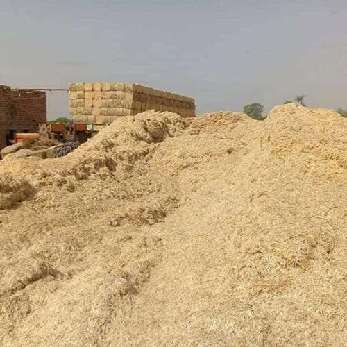 Wheat Straw Exporters – Pak Arab Agro Industries